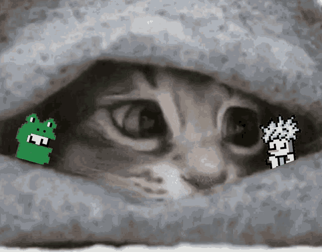 a pixelated frog and a pixelated duck are peeking out from behind a cat 's head