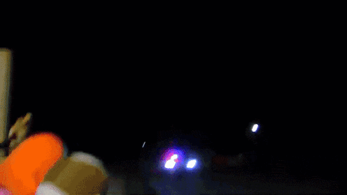 a stuffed animal is standing in front of a police car at night