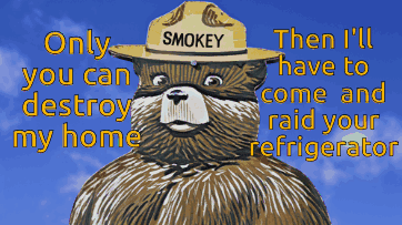 Smokey The Bear GIF