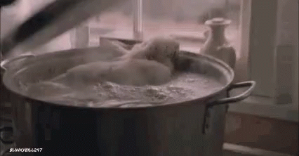Fatal Attraction GIF - Fatal Attraction Boiling GIFs