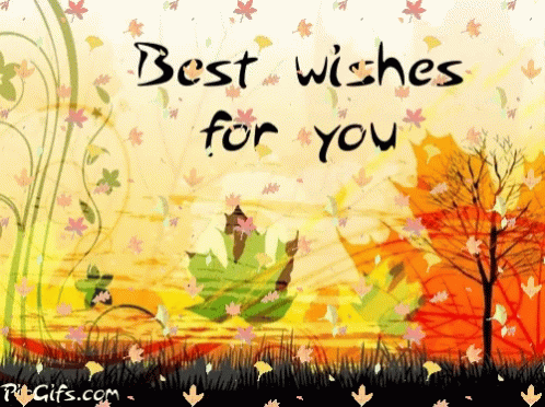 Best Wishes GIF - Best Wishes GIFs