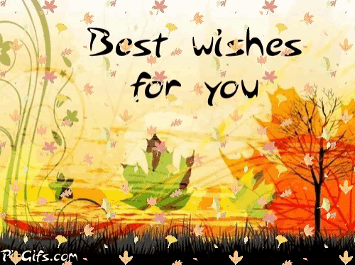 a greeting card says best wishes for you