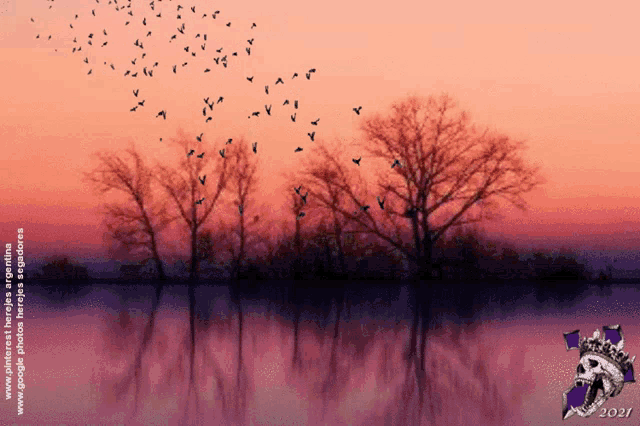 a picture of birds flying over a body of water with the year 2021 on the bottom