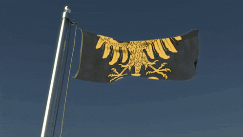 a black and gold flag with an eagle on it is flying in the wind