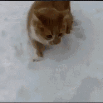 Be Gentle This Is My First Post GIF - Be Gentle This Is My First Post GIFs