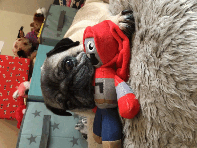 a pug dog laying on a blanket next to a stuffed animal with the letter l on it