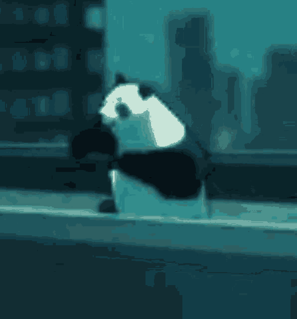 a panda bear is doing a trick on a skateboard in the water .