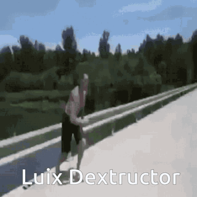 Luix Dextructor Luix GIF
