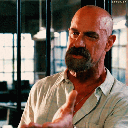 Elliot Stabler Stabler GIF - Elliot Stabler Stabler Law And Order Organized Crime GIFs