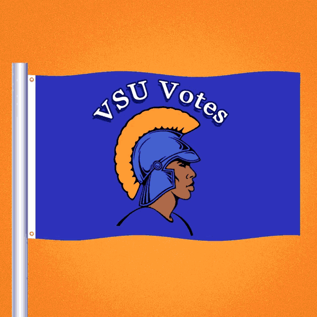 a flag that says visu votes with a spartan on it