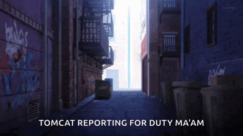 an alleyway with graffiti on the walls and the words tomcat reporting for duty ma am