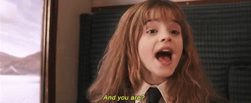 Hermione Granger Andyouare GIF - Hermione Granger Andyouare Harry Potter GIFs