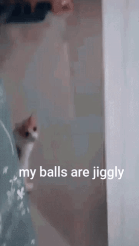 Jiggly Balls Orange Cat GIF - Jiggly Balls Jiggly Orange Cat GIFs