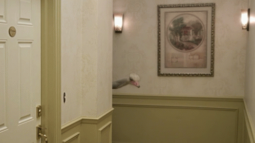 Coast Is...Clear? GIF - Arrested Development Lindsay Bluth Ostrich GIFs
