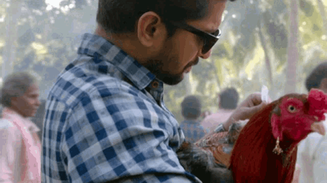 a man in a plaid shirt is holding a rooster