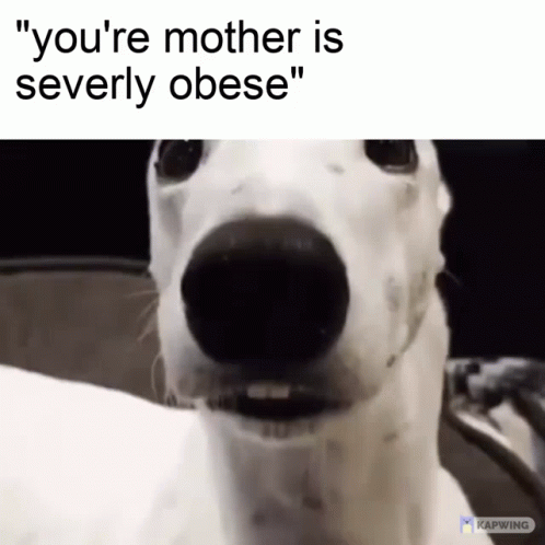 Mother Dog GIF - Mother Dog Meme GIFs
