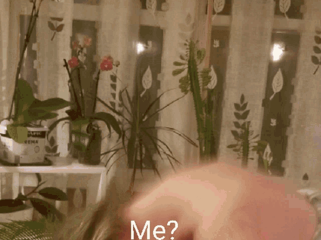 a woman says me in front of a window with flowers