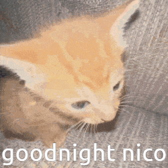 Sakilovesyou Goodnight Nico GIF - Sakilovesyou Goodnight Nico GIFs