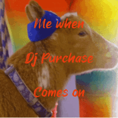 Dj Purchase What Goat GIF - Dj Purchase What Goat Get Goated GIFs