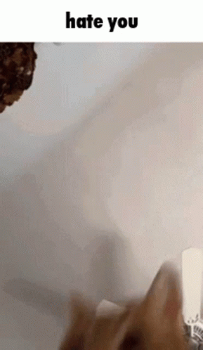 Hate You Hate GIF - Hate You Hate Cat GIFs