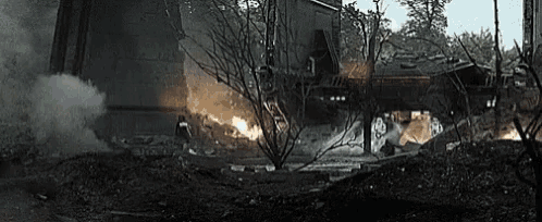 a military vehicle is being destroyed by a fire in a forest .