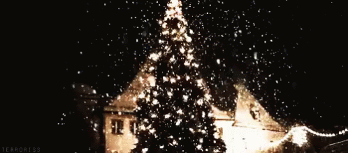 شجرة عيد الميلاد GIF - Christmas Tree Holidays December GIFs