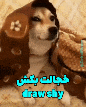 a dog is wrapped in a blanket with the words draw shy written above it