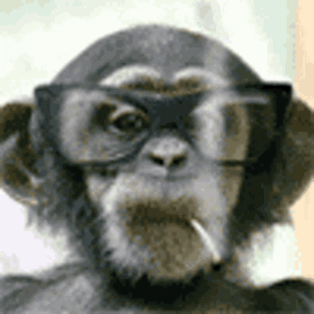 a chimpanzee wearing glasses and smoking a cigarette .