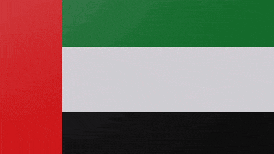 Uae Flag GIF