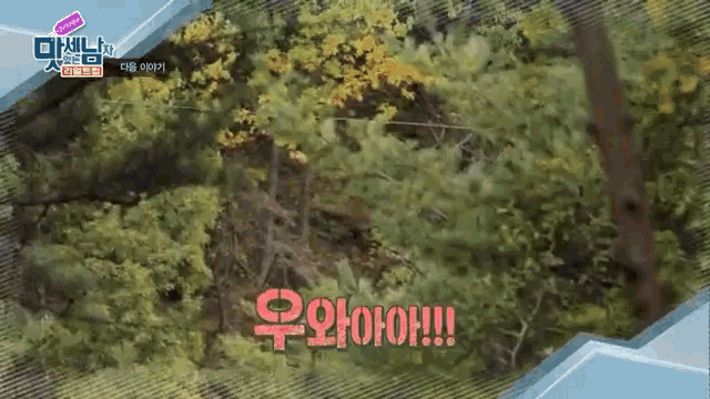 an aerial view of a forest with the words " hoohoo !!! " written in red