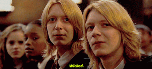Wicked Weasley Fred And George GIF
