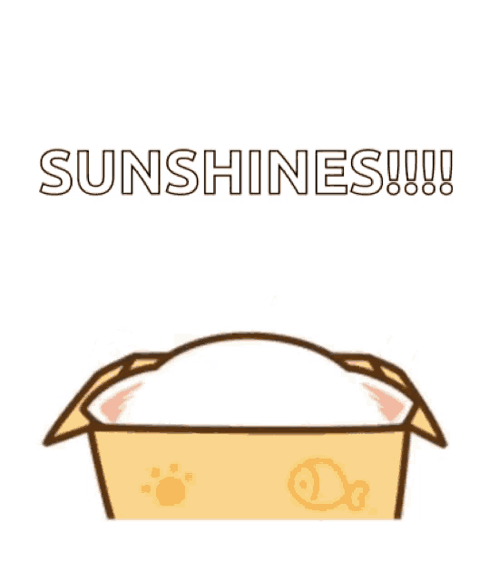 a cartoon cat in a box says hello sunshines !!!