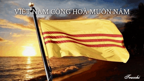 a yellow flag with red stripes is flying in front of a beach