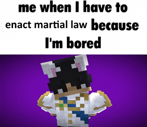 a picture of a minecraft character that says me when i have to enact martial law