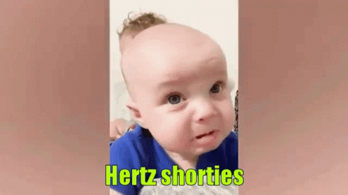 Hertz Hertz Shorties GIF - Hertz Hertz Shorties Crying Hertz GIFs
