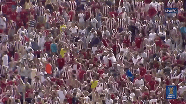 Hyped Cheering GIF - Hyped Cheering Celebration GIFs