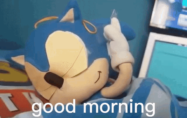 a sonic the hedgehog stuffed animal laying on a bed with the words good morning written below it