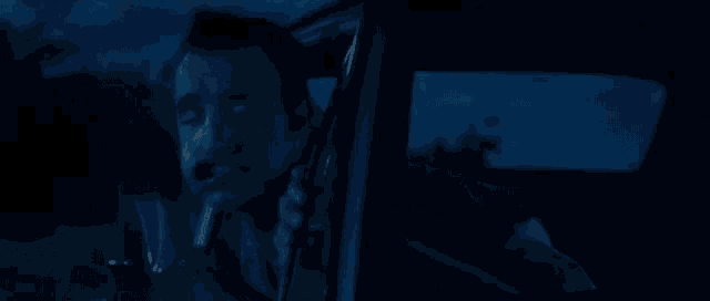 a man is talking on a cell phone while looking out of a car window