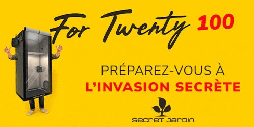 a yellow background with the words for twenty 100