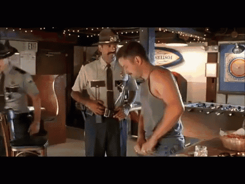 Do You Need Me Out There? Do You Need My Assistance? GIF - Super Troopers Officer Rod Farva GIFs