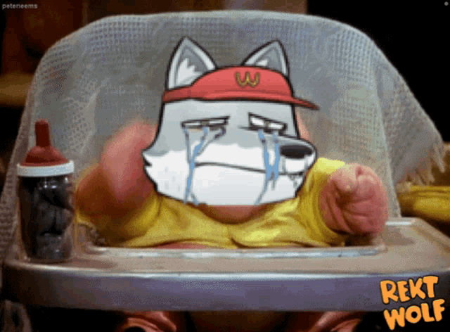 a baby in a high chair with rekt wolf written below it