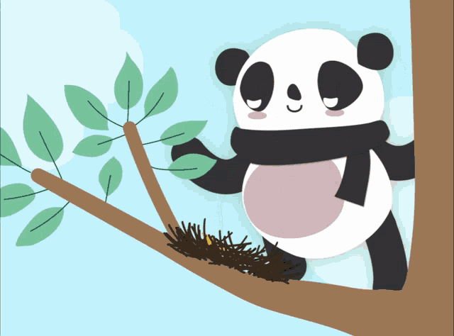 Panda Very GIF - Panda Very Aggressive GIFs