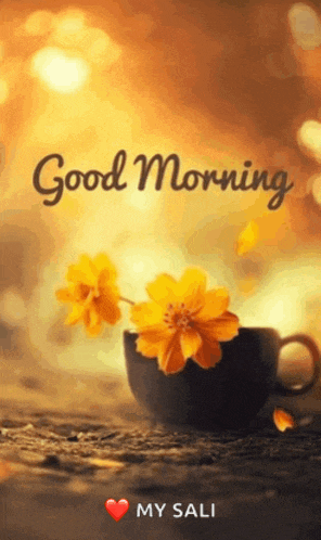 a picture of a cup of coffee with yellow flowers and the words good morning my sali