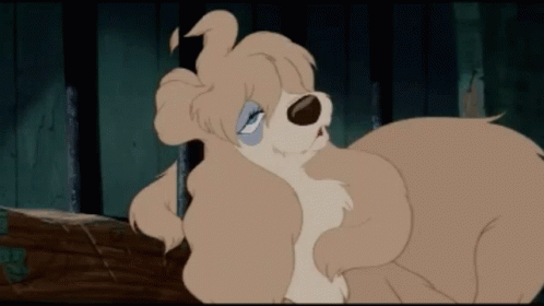 Peg Lady And The Tramp GIF - Peg Lady And The Tramp Dog GIFs