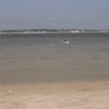 a person is standing on a beach with a bag on their back .