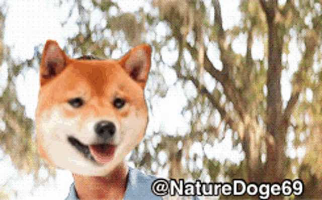 Slickric Naturedoge69 GIF - Slickric Naturedoge69 Doge GIFs