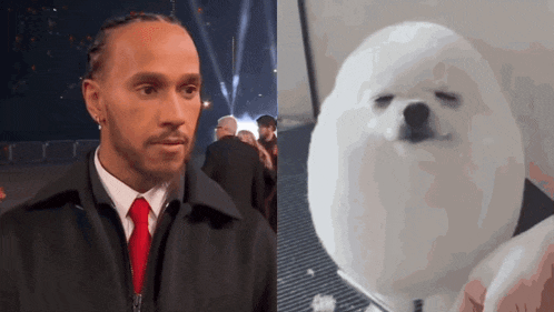 a man in a suit and tie is next to a white dog