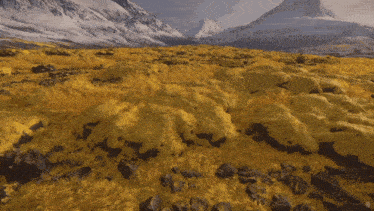 a landscape with mountains in the background and a field of yellow grass