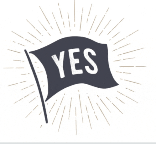 a flag that says yes on it