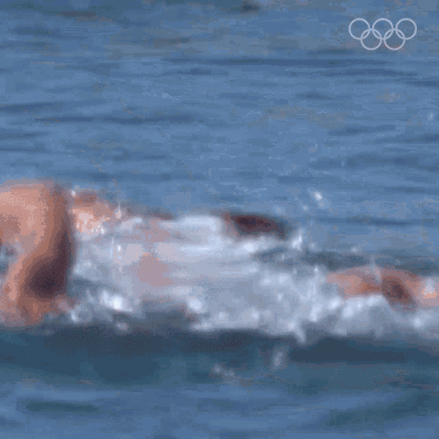 Freestyle Swimming Olympics GIF - Freestyle Swimming Olympics Swimming GIFs